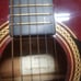 Johnson Acoustic Guitar