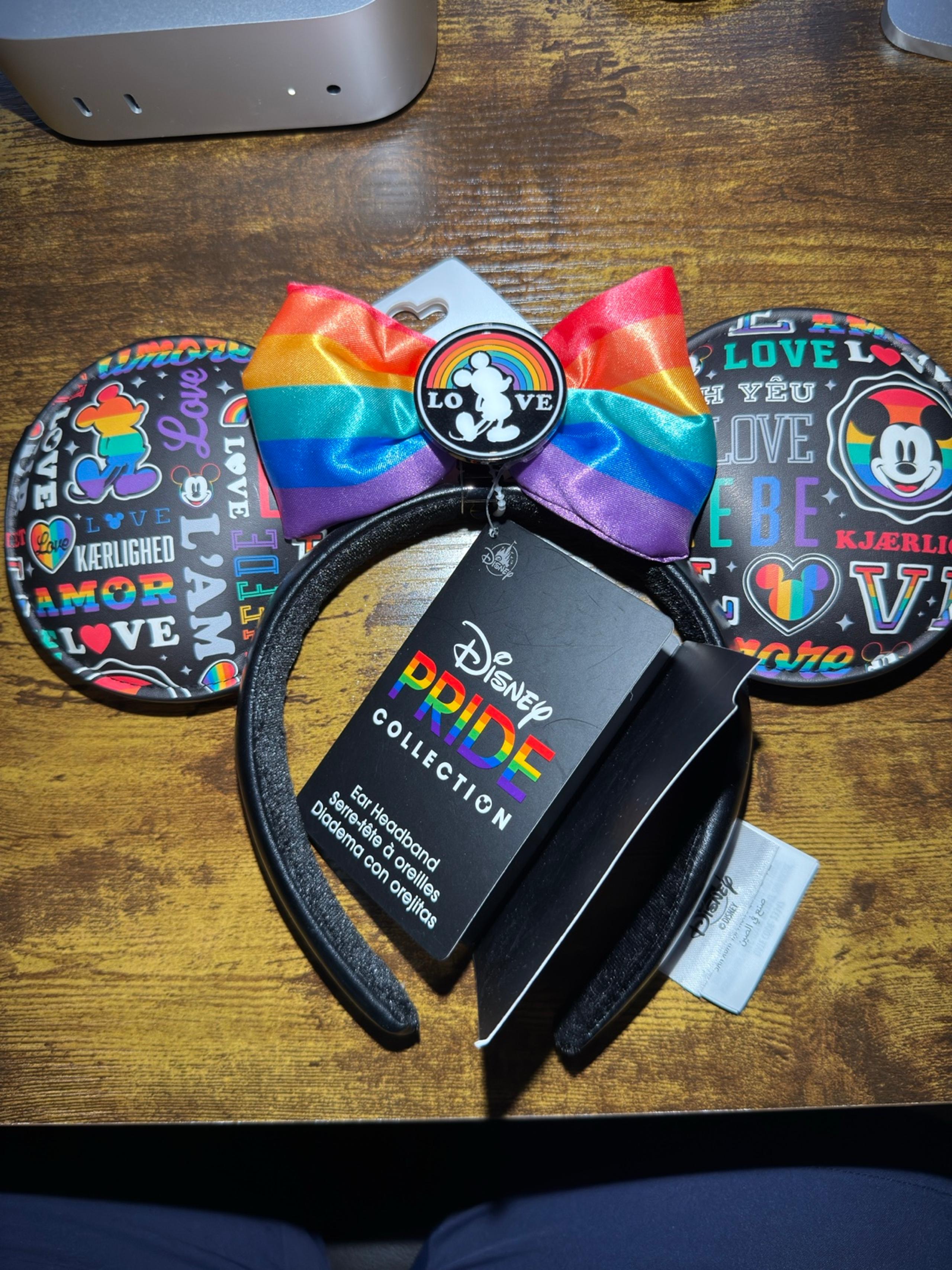 Disney Parks Pride Mickey Ears – 2024 Edition (NWT, Retired)