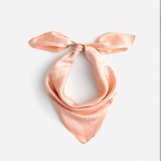 Madewell bandana