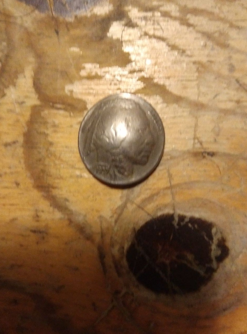 Rare coin nickel 1937 Buffalo Indian
