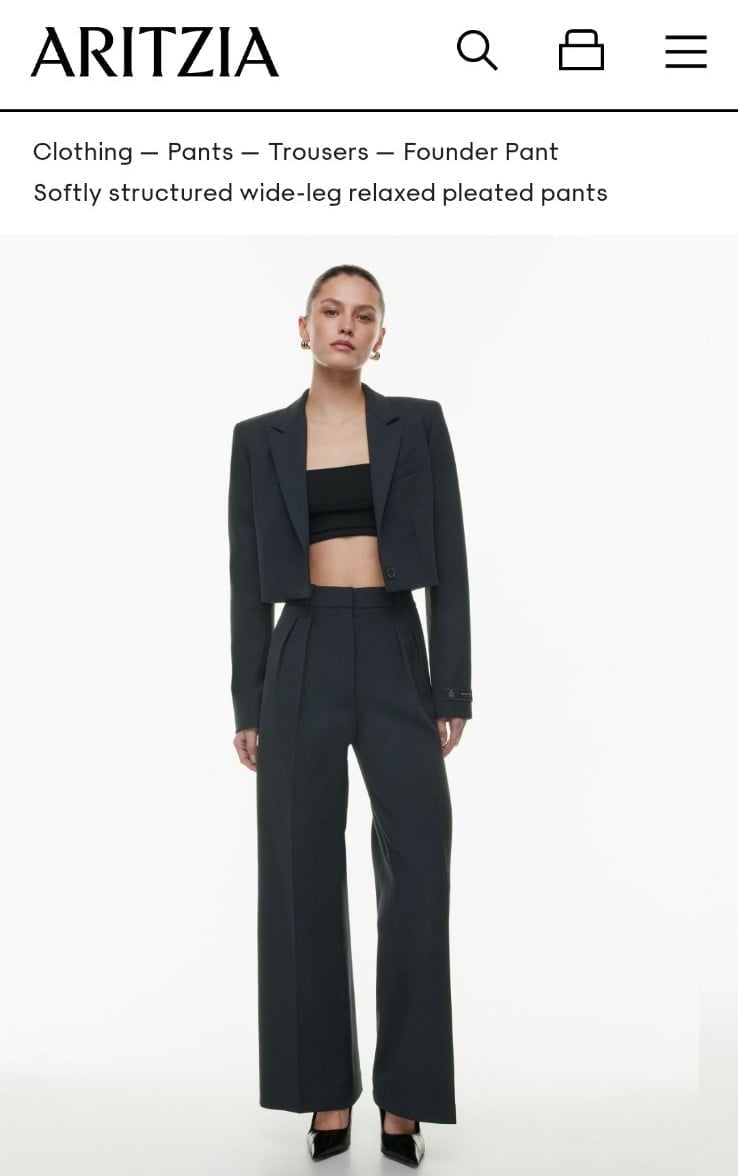 Aritzia Babaton Founder Pants size 6