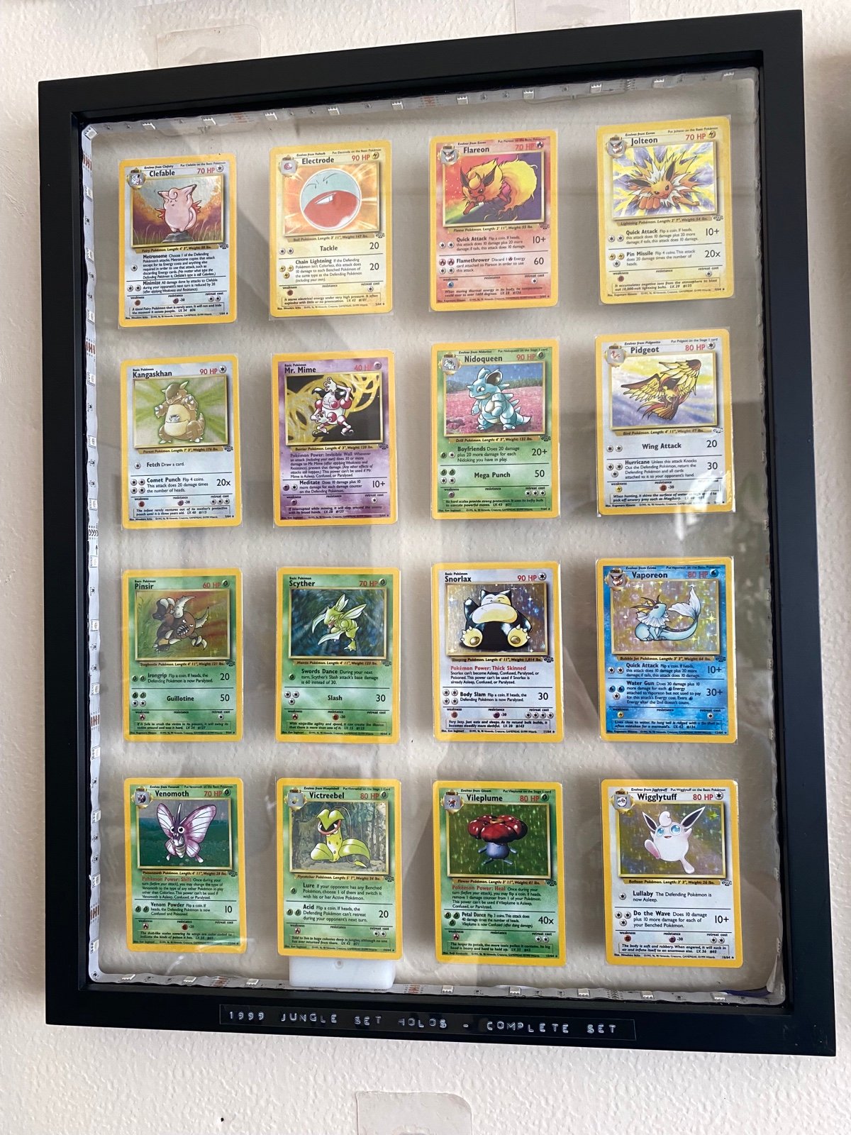Pokémon Complete Jungle Set- Custom Framed.