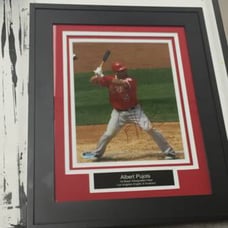 Albert Pujols signed & framed autographed 8x10 photo Anaheim Angels w/coa