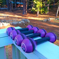 Zumba Purple Shake Weights 4 Total Toning Sticks (2 Pair) 2.5 Pounds Each Maraca