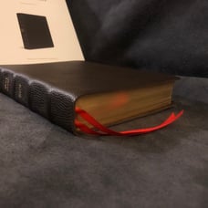 ESV English Standard Version large print wide margin Bible BrownGenuine Leather