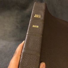 BSB Berean study Bible geniune cowhide leather