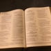 BSB Berean study Bible geniune cowhide leather