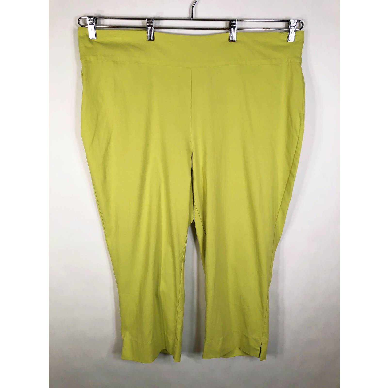 dress barn plus pants
