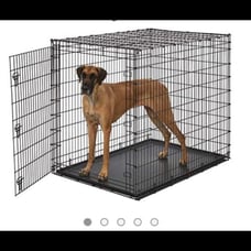 Dog kennel