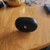 Official Beats Studio Air Buds (Water Resistant)