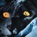 3pc queen size duvet cover black cat