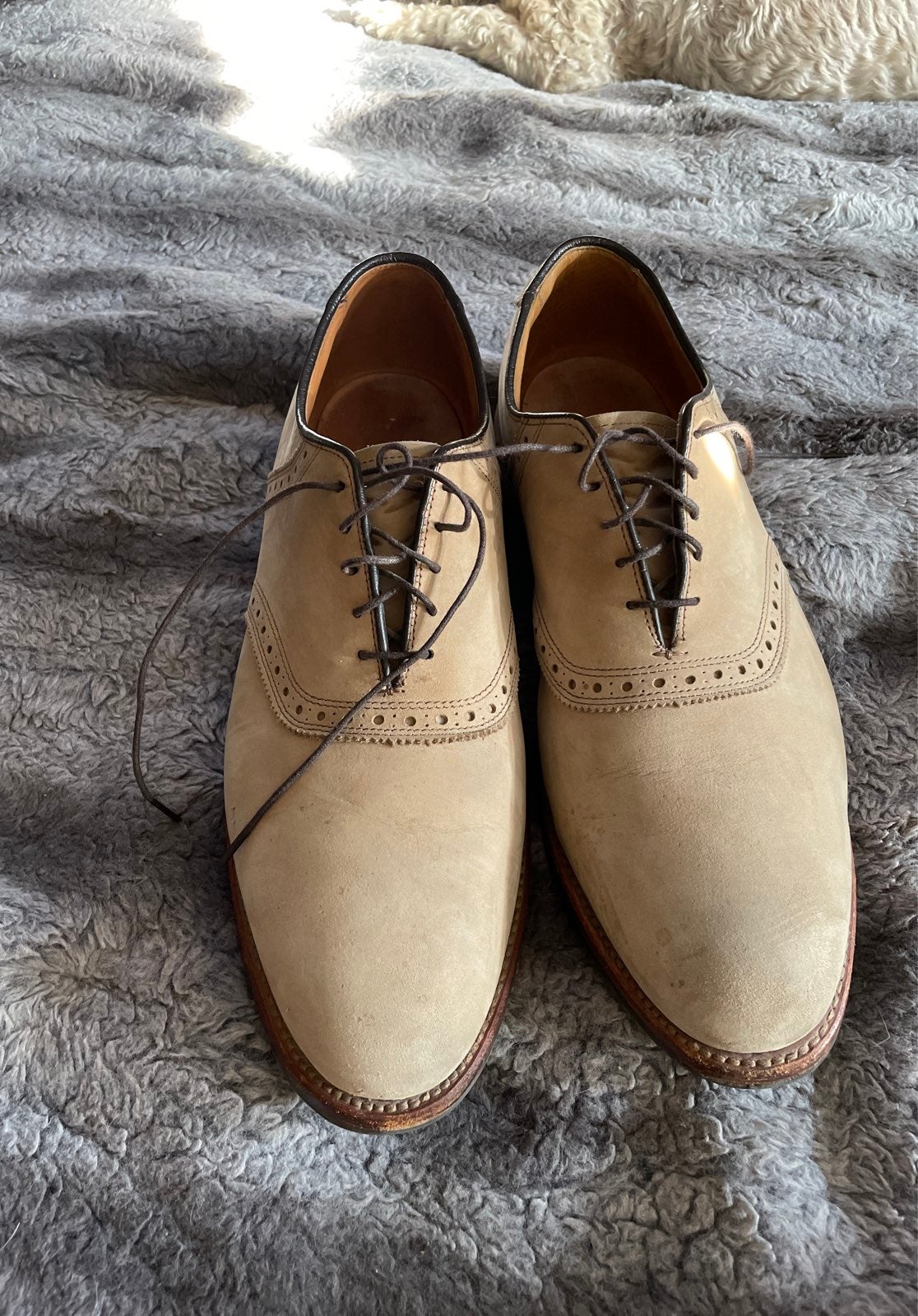 Dress Shoes