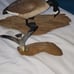 Driftwood sculptures Goose and seagull. James N Denny