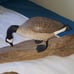 Driftwood sculptures Goose and seagull. James N Denny