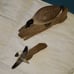 Driftwood sculptures Goose and seagull. James N Denny