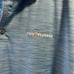 FJ Polo