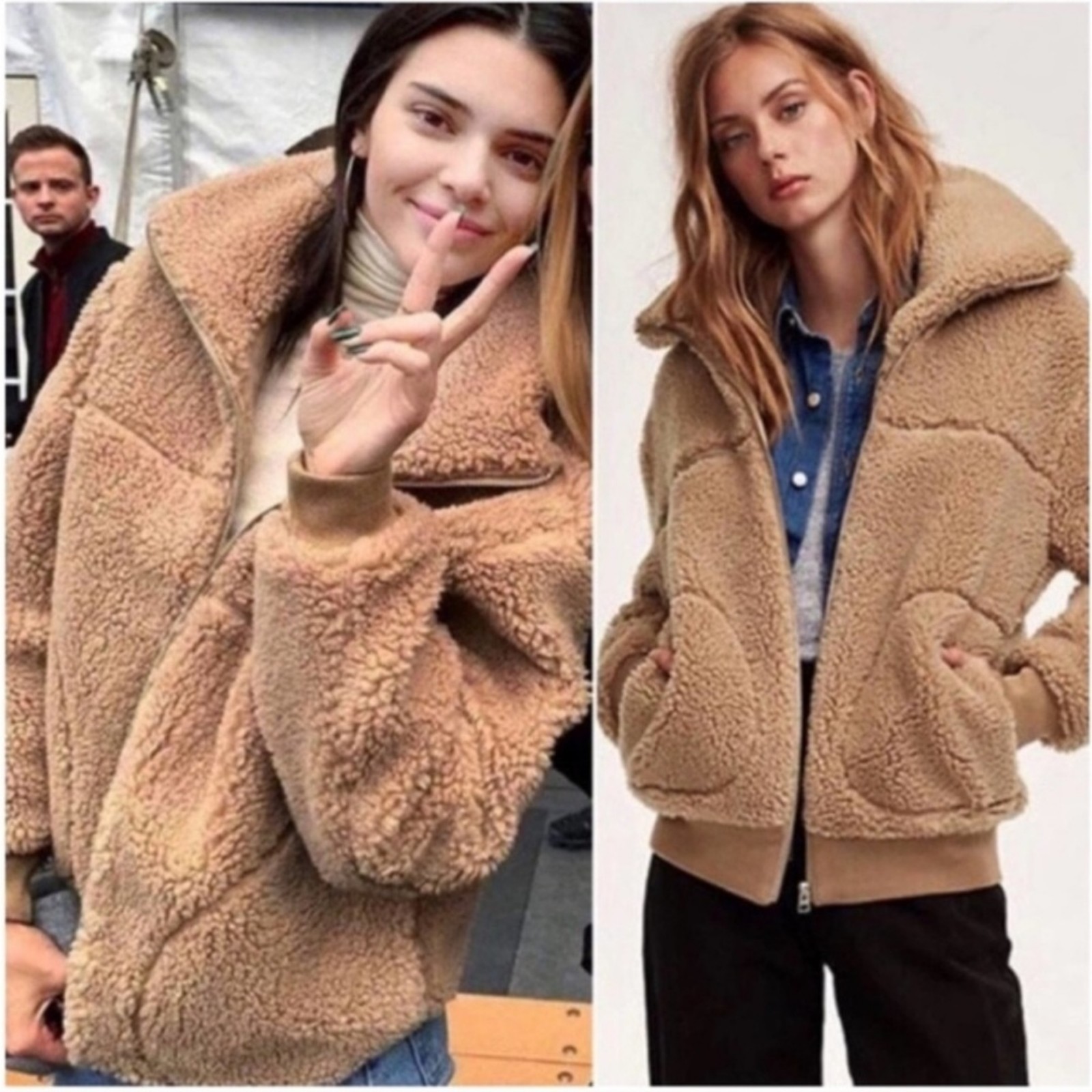 Aritzia Wilfred Free The Teddy Jacket