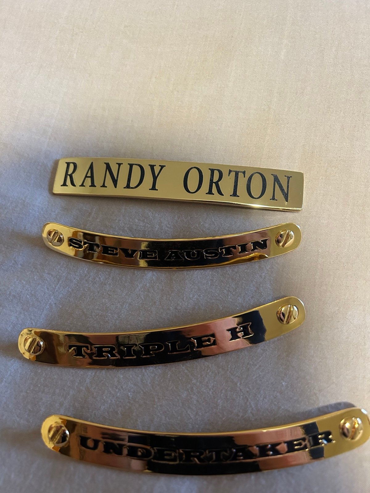 WWE title name plates Big gold and Undisputed V1