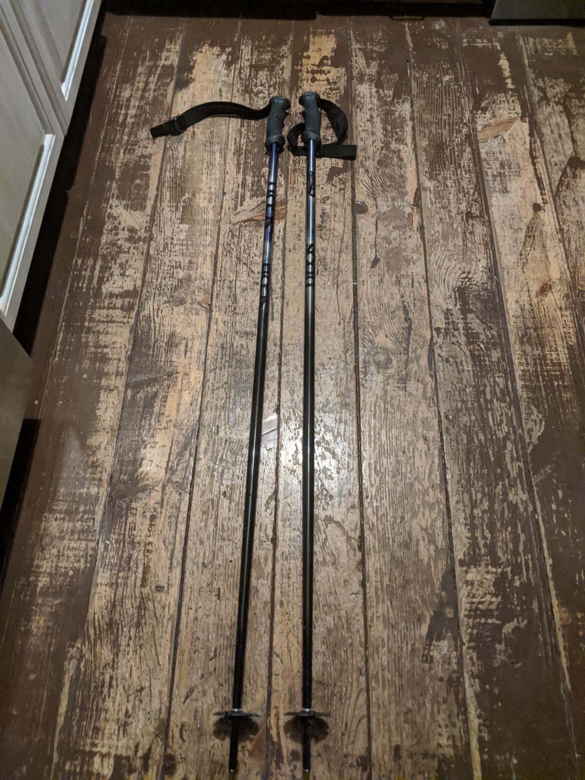 Scott Ski Poles Downhill 48