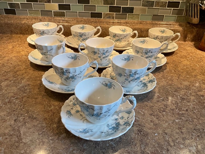 Vintage Myott Staffordshire Forget me Not Tea Cup Set