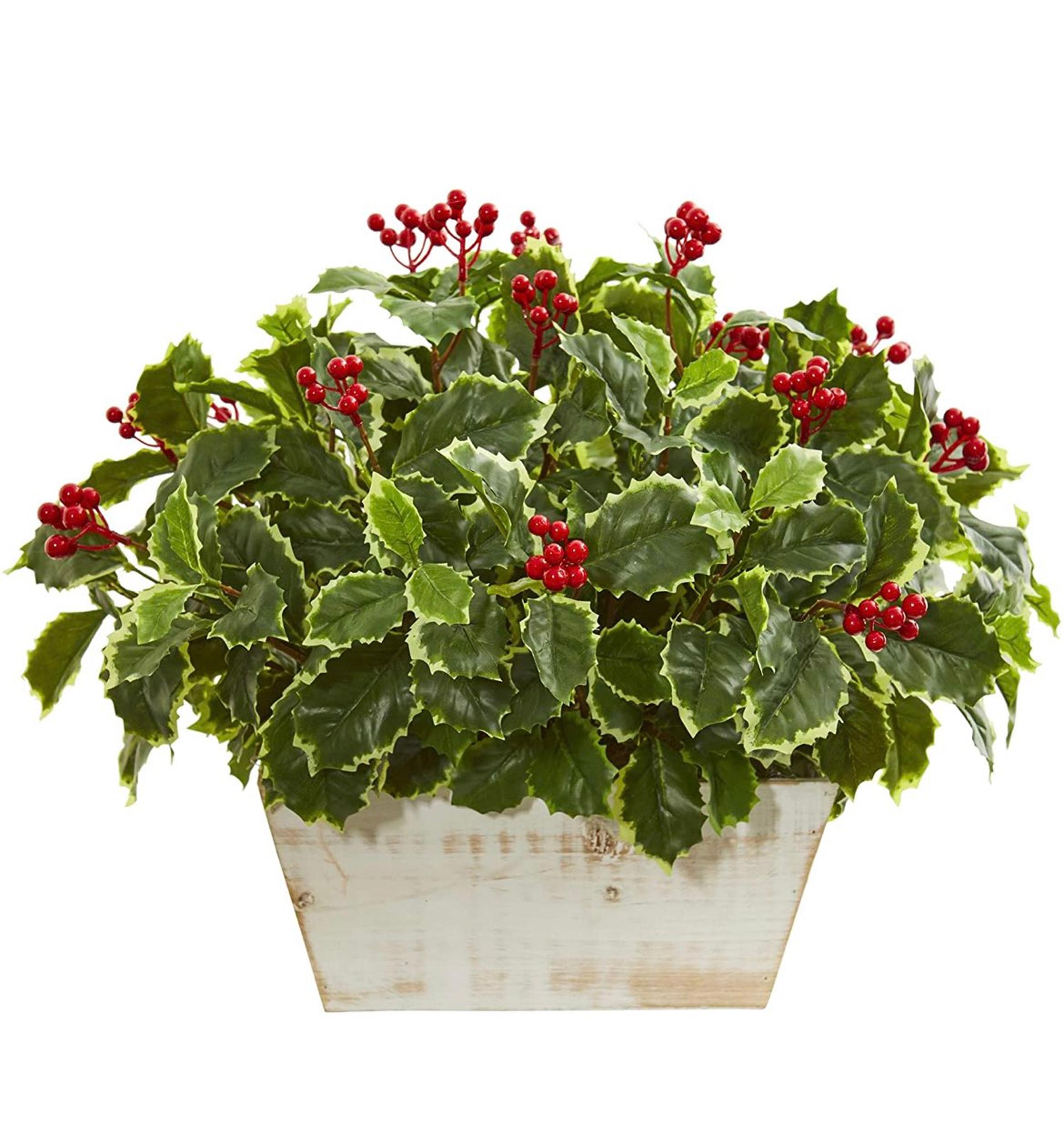 Nearly Natural Variegated Holly Leaf Artificial (Real Touch) Silk Plants Green.