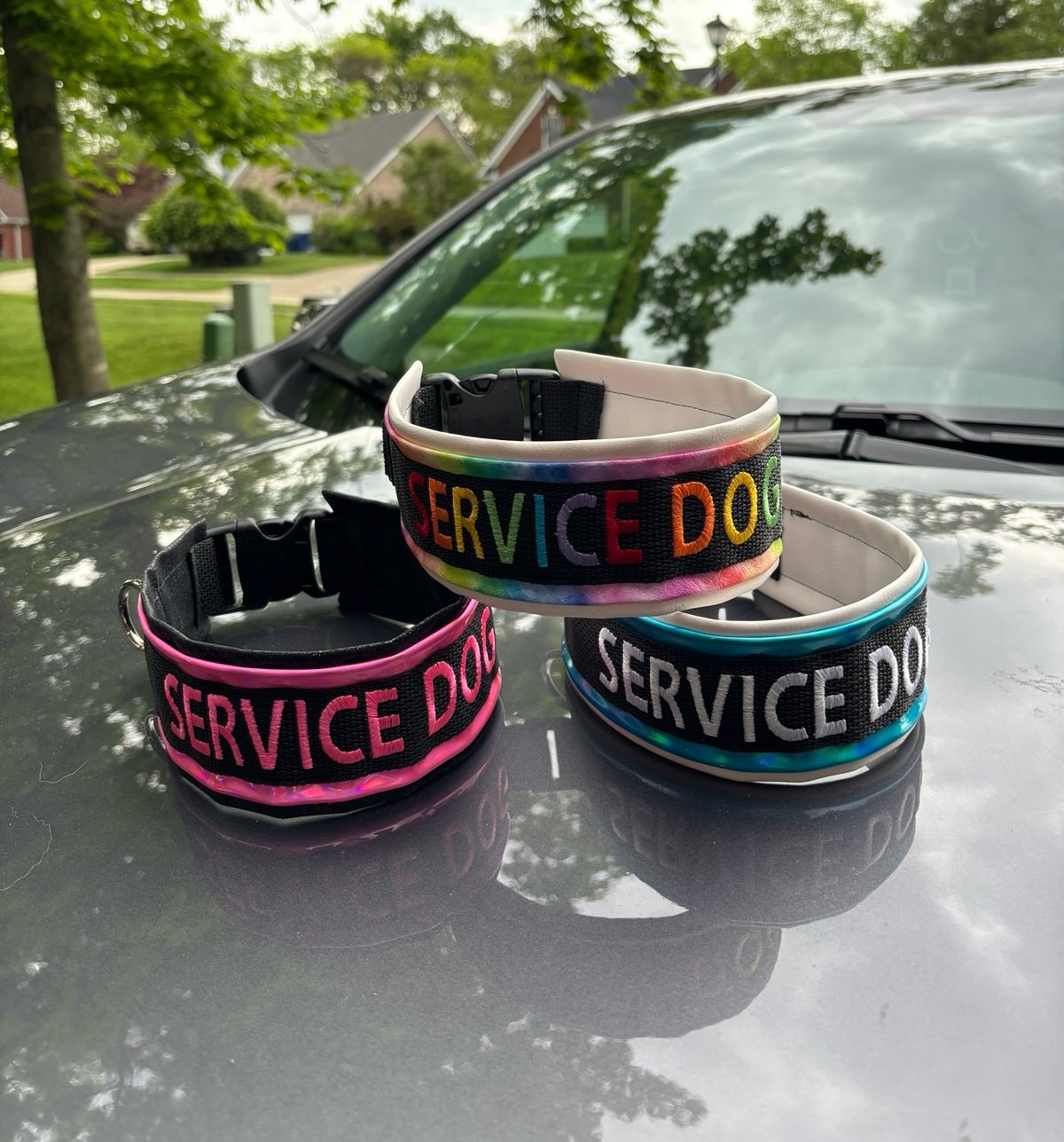 Service Dog Collars