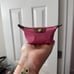 Long champ coin purse