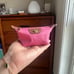 Long champ coin purse