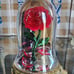 Bath & Body works Disney Princess Belle rose wallflower plug in