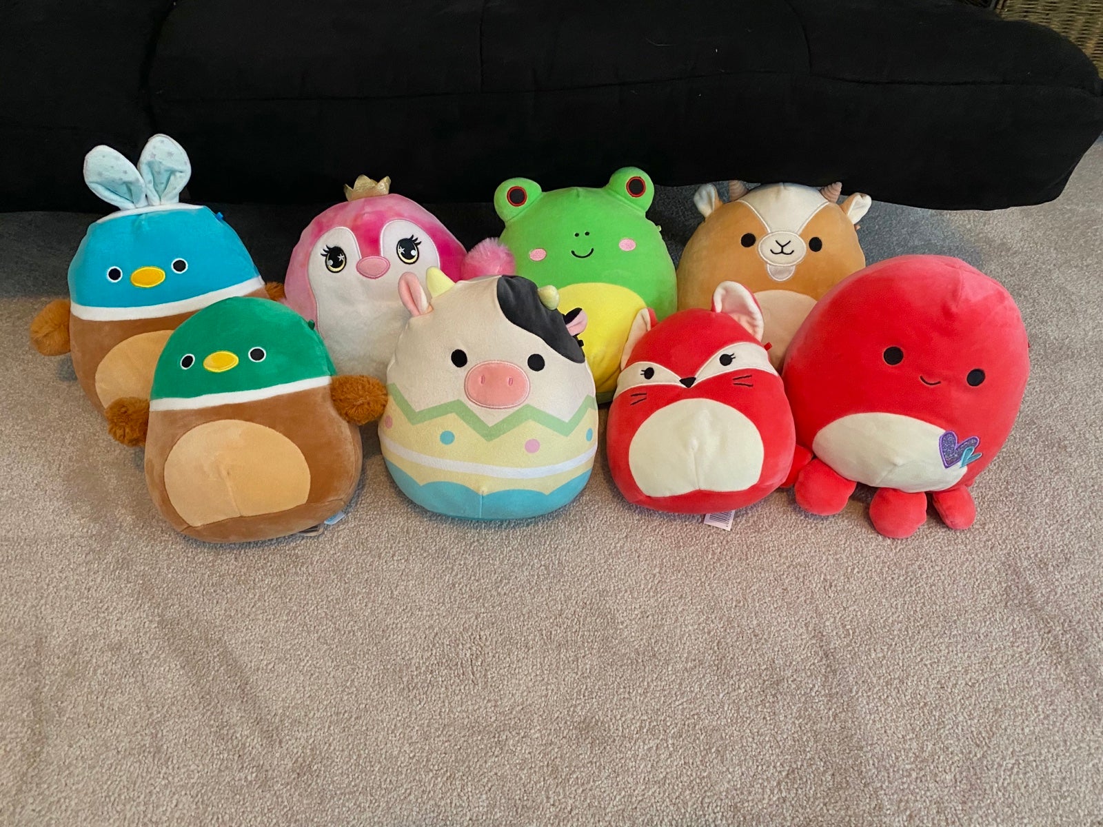 Squishmallow Bundle
