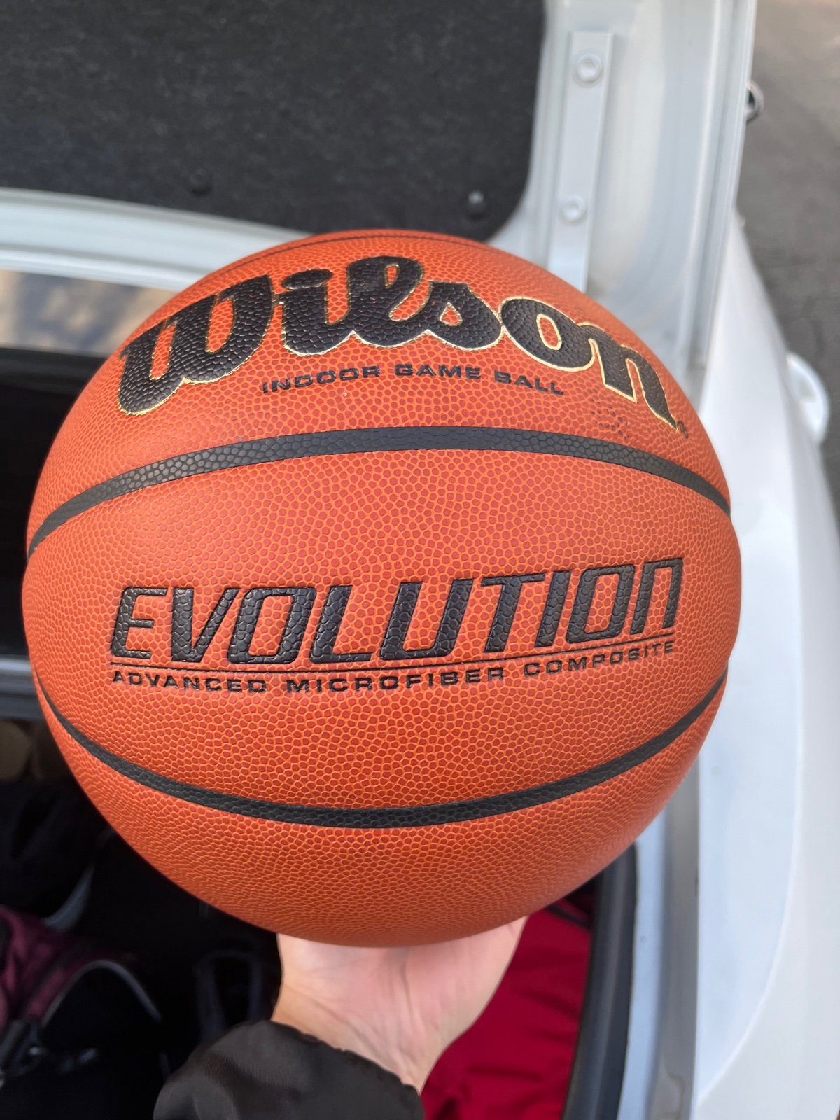 Wilson Evolution Basketball