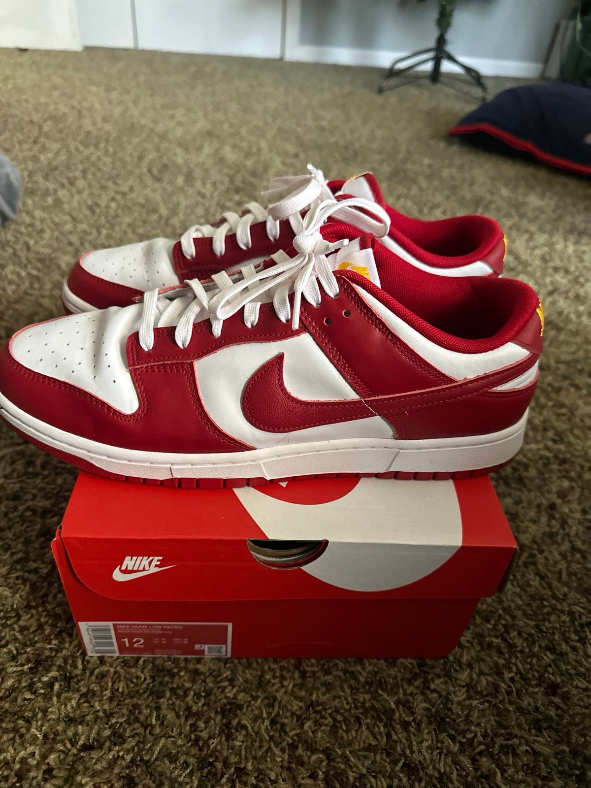 Nike dunks low