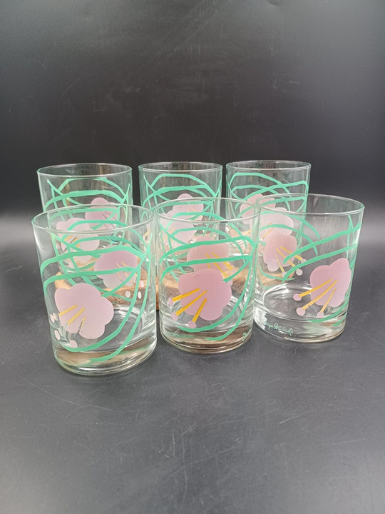 Vintage George Briard Floral MCM Tumblers - Set of 6