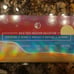 AMAZING Holo taco vacation collection