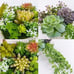 NEW Set of 2 Hanging Wall Artificial Plants for Home Decor Indoor