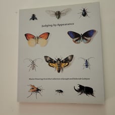 Judging By Appearance