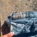 Polo Ralph Lauren jeans