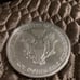 2000 Half Troy Pound American Eagle Coin