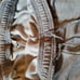 Mens shorts
