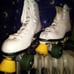 skates