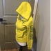 VS PINK DUCKS Collegiate Collection Hoodie