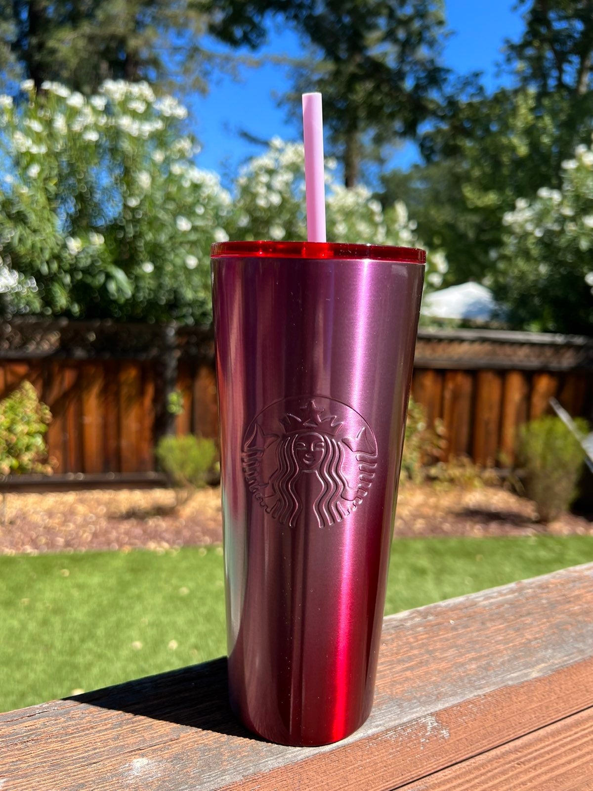 Starbucks 20z Ombre Tumbler
