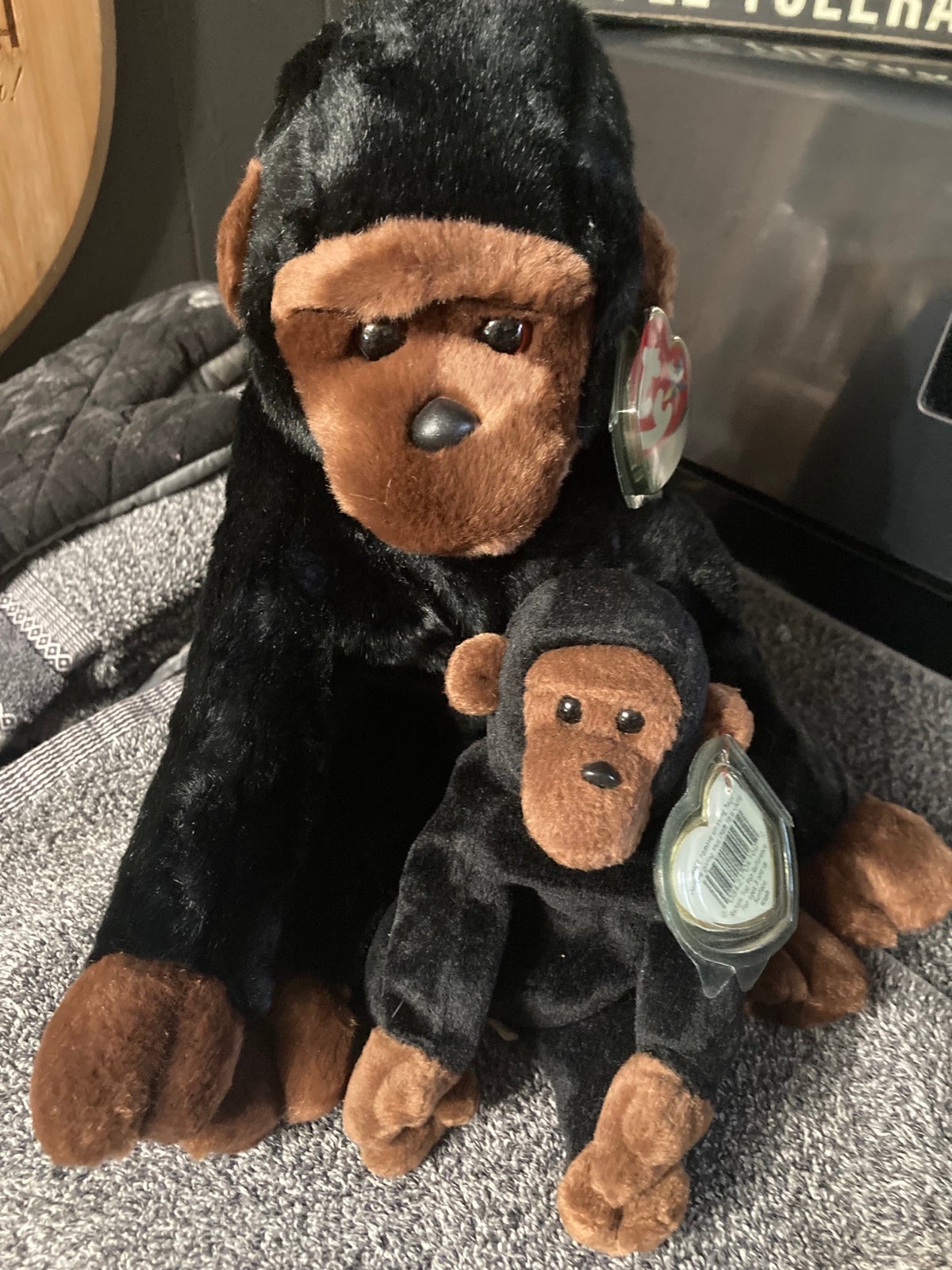 Bundle CONGO the Gorilla Ty Beanie Buddy and Baby with Errors