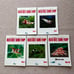 Red Bee Shrimp 10-Book Set
