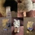 American Girl Doll Bundle - clothes, carrier, dogs, and accessories/items