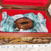 Belt Buckle and Box