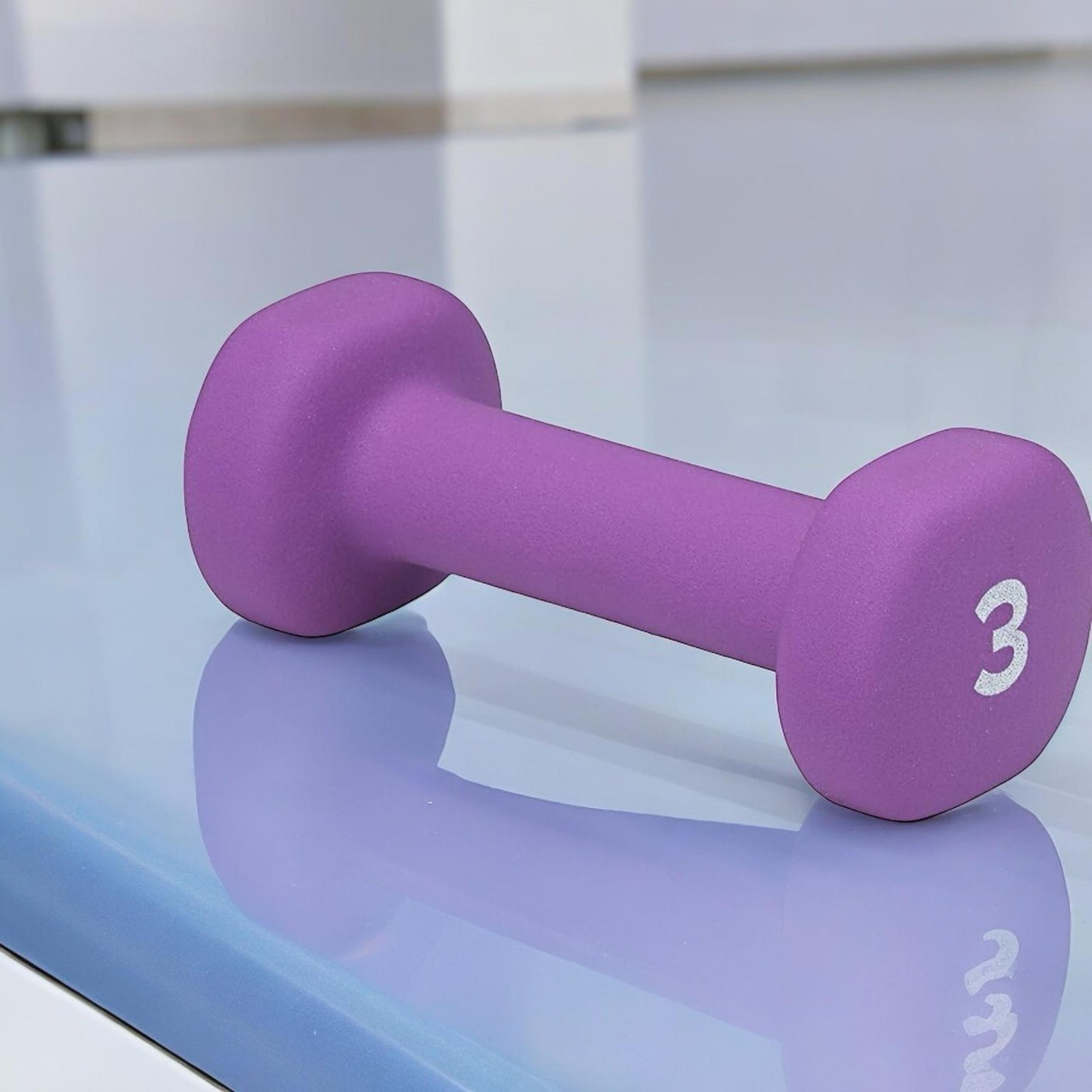 Workout Dumbbell GAIAM Hand Weight Neoprene Exercise & Fitness Gym 3lbs Dumbbell