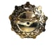 2 Vtg Coro Brooch Pins Deep Blue And Light Blue Stones Filigree Floral Gold Tone