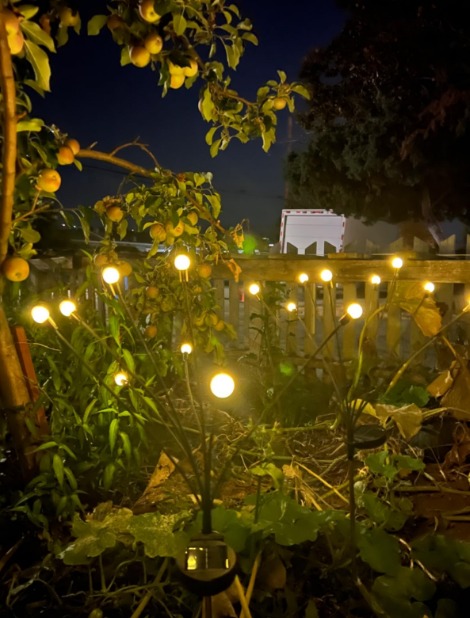 6-Pack Solar Lights for Outside, Upgraded Solar Garden Lights, Sway by Wind