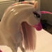Bratz Fashion Pixiez Rare White Unicorn